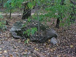A rejtek