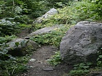 Sziklák