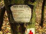A fa visszavág