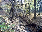 Őszi patakmeder