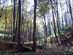 Ősz