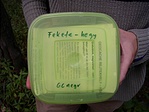 A láda