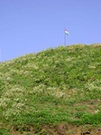 Festung