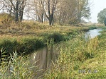 Vasadi Főcsatorna 1.