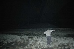 xux a batman