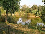 Tórészlet