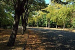 Október 2.