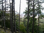 panoráma