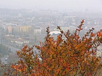 előtérben szinek, háttérben a város