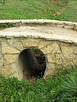Alagut