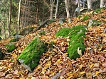 mohások mellett vezetett az út