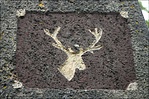 Csodaszarvas