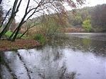 tó
