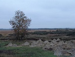 Kilátás
