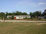 Gazdaság