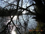 Az Élő-Tisza