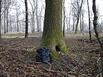 A rejtek