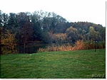 Holt-Körös