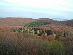 Kilátás