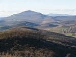 naszály