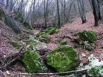 A völgyben 2.