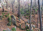 A völgyben