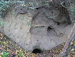 A barlangnál