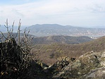 Borjúfői kilátás - 4
