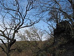 Kontrasztok