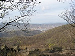 Ősz