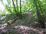 Lentről