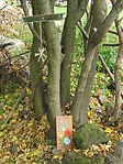 Másodvirágzás