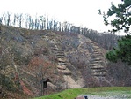 szurdok
