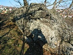 szikla