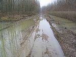 autósztráda