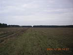 Puszta