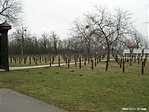 Sírok (301-es parcella)
