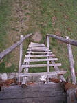 Szedulok