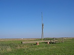 Csiperke keresőben