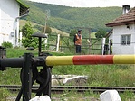 Bakter, védőrács mögött