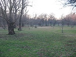 Szépen rendben van tartva