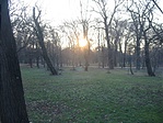 Alkonyodik
