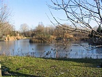 csendélet