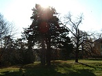 Kastélypark