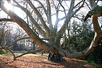Itt az óriás, óriási!