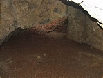 Kikukucskálva