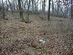 ...a helyétől 4-5m-re