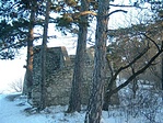 2005.01.30/Flóra1