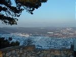 2005.01.30/Flóra2