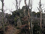 sziklák & fák